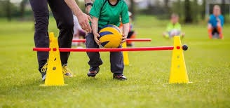 2025 年 11 月：多伦多蓝鸟队在季后赛中连续击败洋基、水手，挺进世界大赛