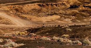 小瓦&贝恩&萨格斯同砍25+，魔术上次有此表现在2019年