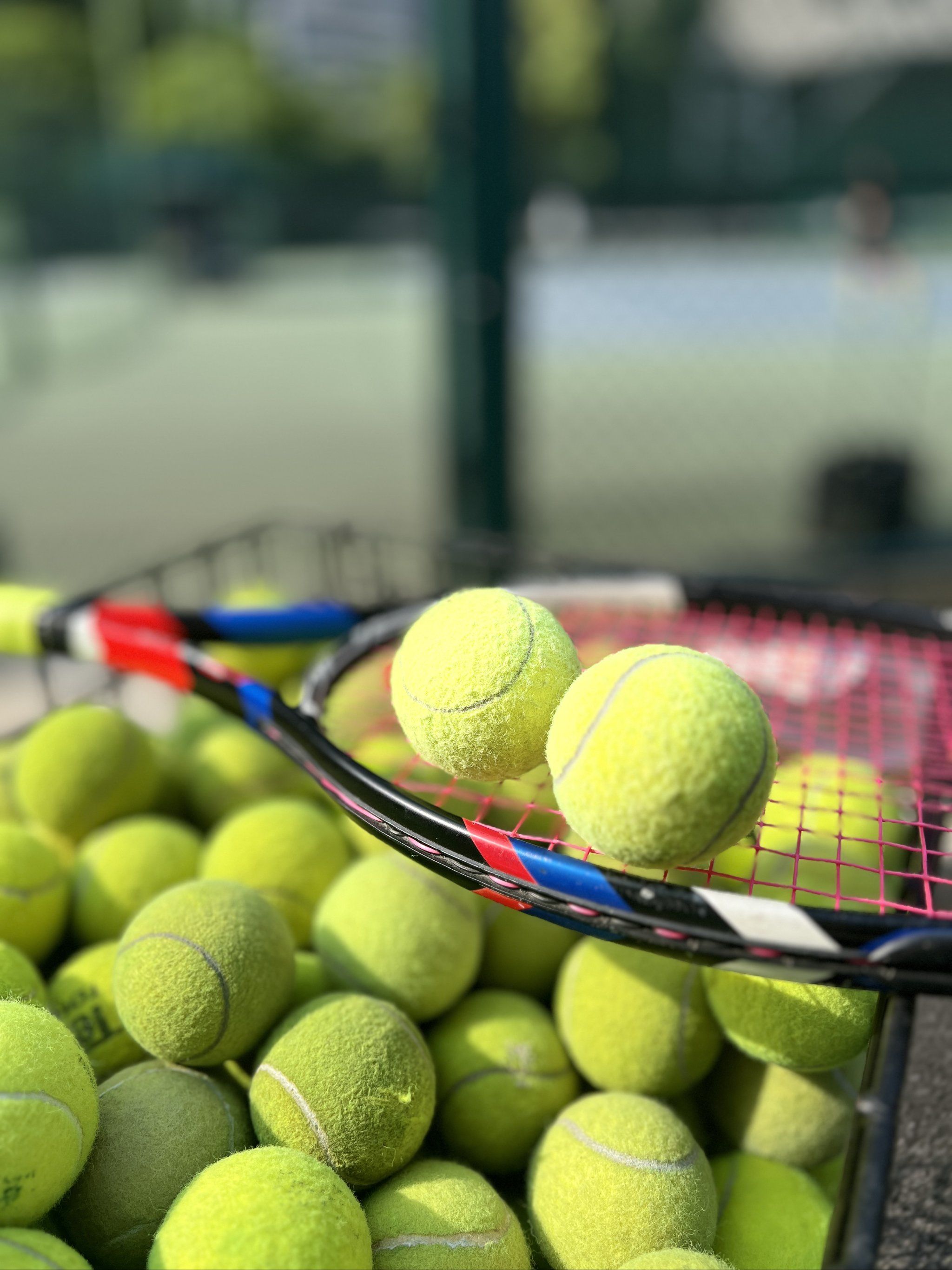 哈兰德的成 哈兰德的成