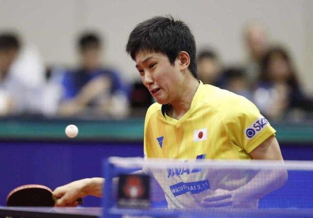 相关球员历 相关球员历